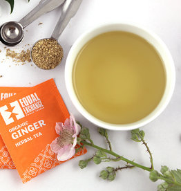 Equal Exchange Organic Ginger Tea 20pc Box