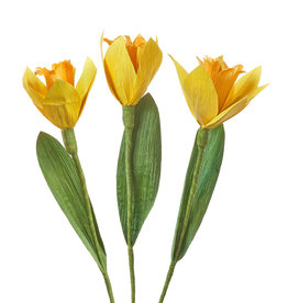 Serrv Cornhusk Daffodil Flower