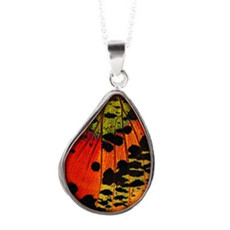 Silver Tree Designs Butterfly Wing Teardrop Pendant: Rainbow Sunset Moth