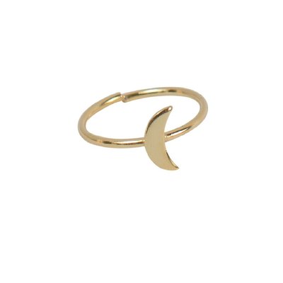 Ten Thousand Villages Crescent Moon Ring