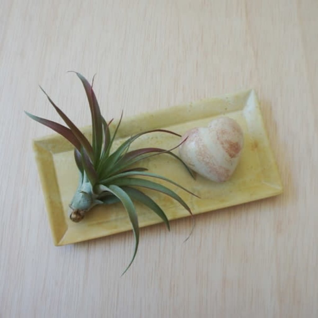 Venture Imports Kisii Natural Rectangular Dish