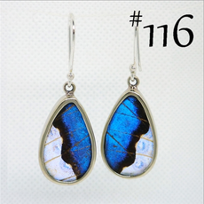Silver Tree Designs Butterfly Wing Earrings Oblong Blue Morpho/Morpho Sulkowskyi