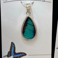 Silver Tree Designs Butterfly Wing Oblong Pendant: Prepona