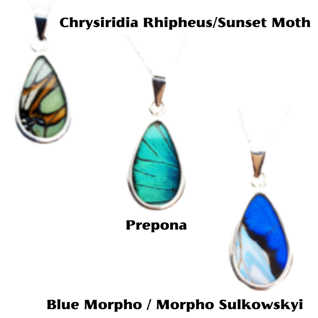 Silver Tree Designs Butterfly Wing Oblong Pendant Blue Morpho / Morpho Sulkowskyi