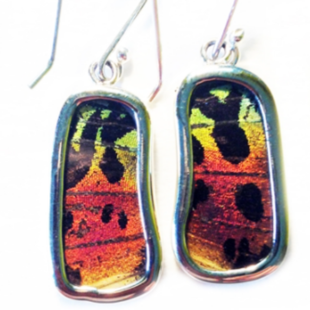 Silver Tree Designs Butterfly Wing Small Rectangle Earrings: Rainbow Sunset Moth